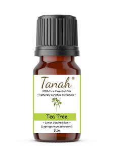 Tea Tree, Lemon Scented Gum (Australia) essential oil (Leptospermum petersonii) | Where to buy? Tanah Essential Oil Company | Retail |  Wholesale | Australia