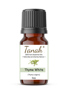 Thyme, White (France) essential oil (Thymus vulgaris) | Where to buy? Tanah Essential Oil Company | Retail |  Wholesale | Australia