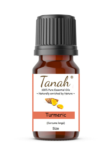 Turmeric (India) essential oil (Curcuma longa) | Where to buy? Tanah Essential Oil Company | Retail |  Wholesale | Australia