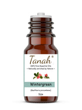 Load image into Gallery viewer, Wintergreen (China) essential oil (Gaultheria procumbens) | Tanah Essential Oil Company
