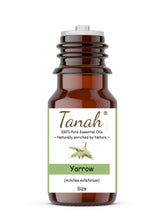 Load image into Gallery viewer, Yarrow (Hungary) essential oil (Achillea millefolium) | Tanah Essential Oil Company
