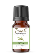 Load image into Gallery viewer, Yarrow (Hungary) essential oil (Achillea millefolium) | Where to buy? Tanah Essential Oil Company | Retail |  Wholesale | Australia
