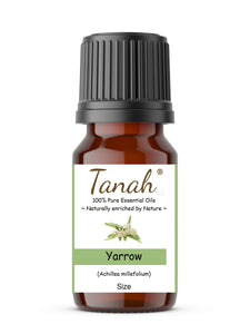 Yarrow (Hungary) essential oil (Achillea millefolium) | Where to buy? Tanah Essential Oil Company | Retail |  Wholesale | Australia