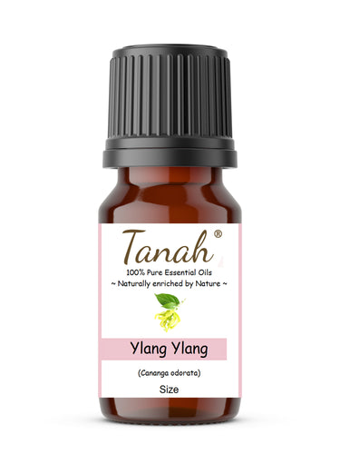 Ylang Ylang (Madagascar) essential oil (Cananga odorata) | Where to buy? Tanah Essential Oil Company | Retail |  Wholesale | Australia