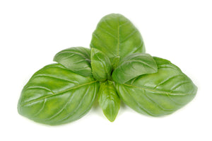 Basil, Linalool CT (India) essential oil (Ocimum Basilicum)