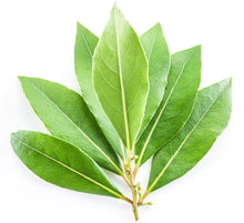 Load image into Gallery viewer, Bay Leaf (West Indies) essential oil (Pimenta racemosa)
