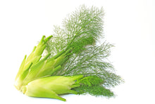 Load image into Gallery viewer, Fennel, Sweet (France) essential oil (Foeniculum vulgare dulce)
