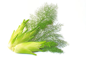 Fennel, Sweet (France) essential oil (Foeniculum vulgare dulce)