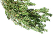 Load image into Gallery viewer, Fir Needle (Siberia) essential oil (Abies sibirica)
