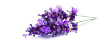 Load image into Gallery viewer, Lavender (Australia) essential oil (Lavandula angustifolia)
