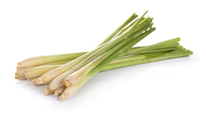 Lemongrass, Cochin (India) essential oil (Cymbopogon flexuosus)