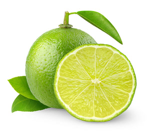 Lime (Italy) essential oil (Citrus aurantifolia)