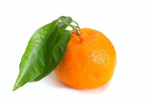 Tangerine (Italy) essential oil (Citrus reticulata blanco)
