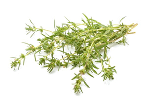Thyme, White (France) essential oil (Thymus vulgaris)
