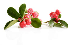 Load image into Gallery viewer, Wintergreen (China) essential oil (Gaultheria procumbens)
